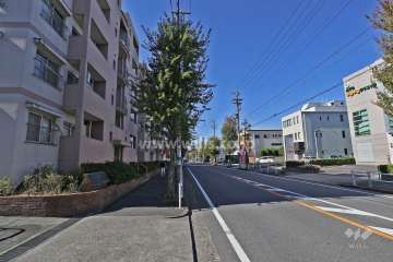 敷地北側の前面道路