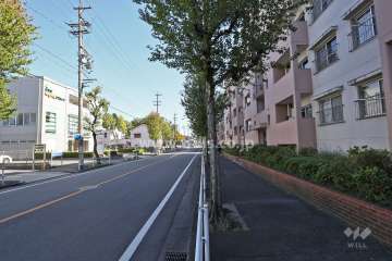 敷地北側の前面道路