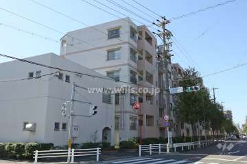 上飯田ハイツ6棟の外観（北東側から）