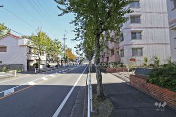 敷地北側の前面道路