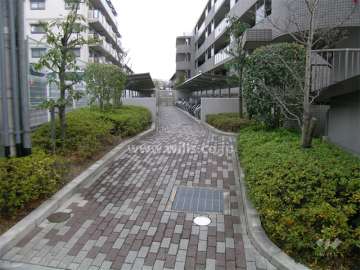 駐輪場へのアプローチ