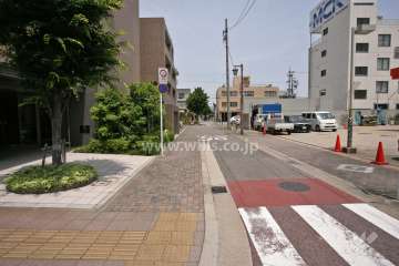 敷地東側の前面道路(南側から)