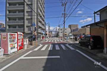 敷地南側の前面道路