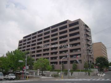 外観(南東から撮影)