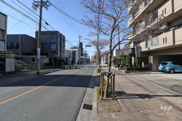 敷地南側の前面道路