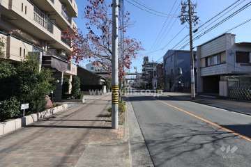 敷地南側の前面道路。敷地東側、約190mには『名古屋高速1号楠線』が通っています。