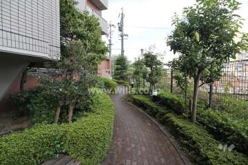 敷地北側の通路
