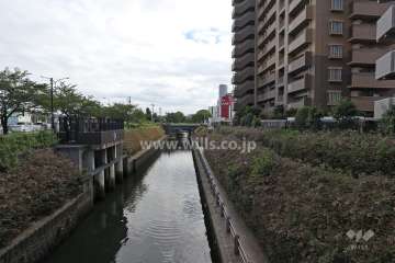 敷地北側に隣接する川