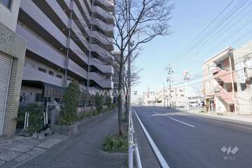 敷地北東側の前面道路