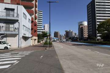 敷地南東側の前面道路（国道19号線）