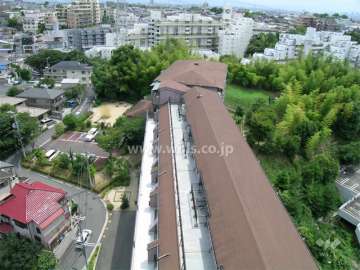 周辺は緑豊かな住宅地