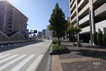 敷地南東側の前面道路