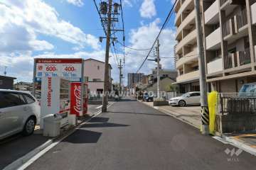 敷地南側の前面道路（東側から）