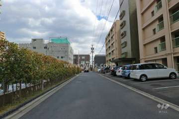 敷地北側の前面道路（西側から）