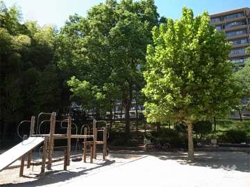 敷地に隣接して公園があります。