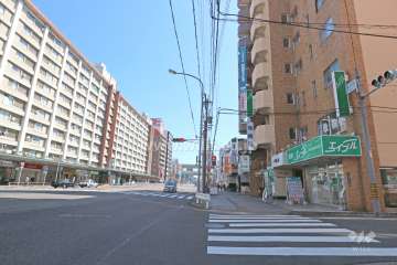 敷地北側の前面道路（西側から）
