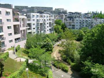 敷地内はたいへん緑豊かです。