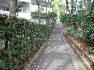 敷地内の通路