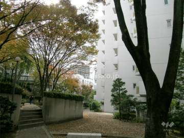 敷地内は緑豊か