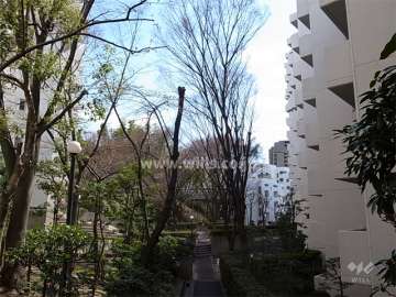 A棟の南側の歩道