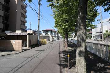 敷地北側の前面道路
