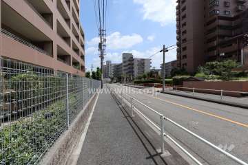 敷地北側の前面道路(西側から)