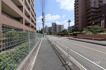 敷地北側の前面道路
