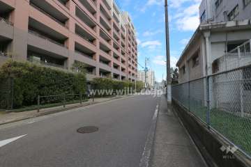 敷地南側の前面道路（西側から）