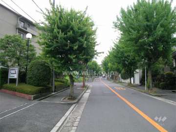街路樹がきれいな敷地東側の道路