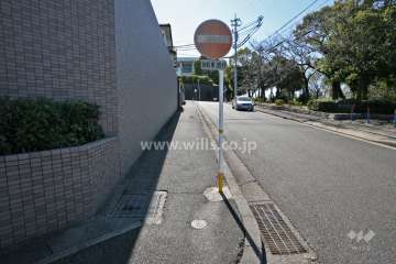 敷地西側の前面道路(北側から)
