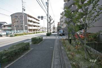 敷地北側の前面道路(西側から)