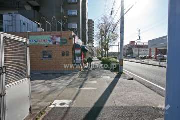 敷地西側の前面道路(北側から)