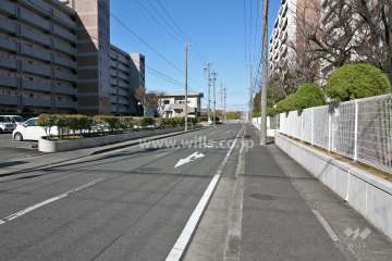 敷地北東側の前面道路(南東側から)