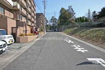 敷地南側の前面道路（西側から）