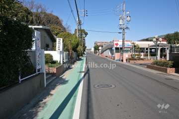 敷地西側の前面道路(南側から)
