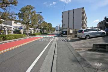 敷地北側の前面道路