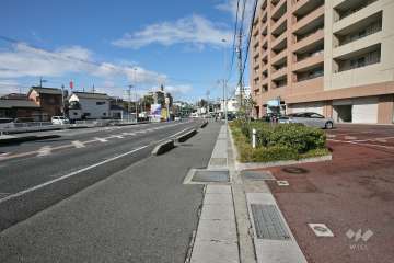 敷地南側の前面道路(国道1号線)