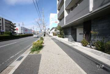 敷地前面道路