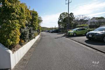 敷地南側の前面道路（西側から）