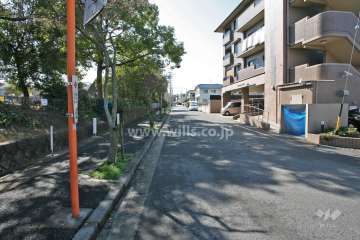 敷地東側の前面道路(北側から)