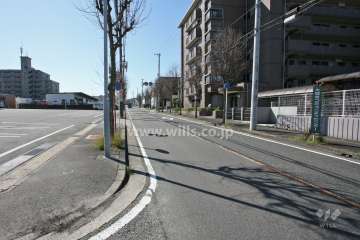 敷地東側の前面道路(北側から)