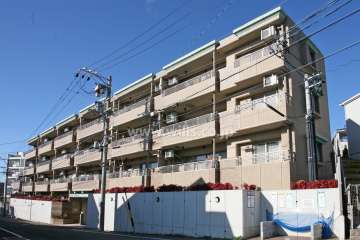 アメニティ作の山