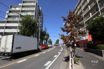 敷地東側の前面道路（南側から）