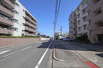 敷地北側の前面道路（西側から）