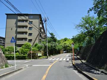 敷地南側の前面道路（西側から）