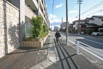 敷地南側の前面道路