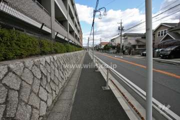 敷地南側の前面道路(西側から)