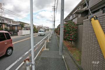 敷地北側の前面道路(西側から)