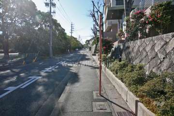 敷地東側の前面道路(北側から)