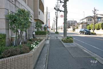 敷地西側の前面道路